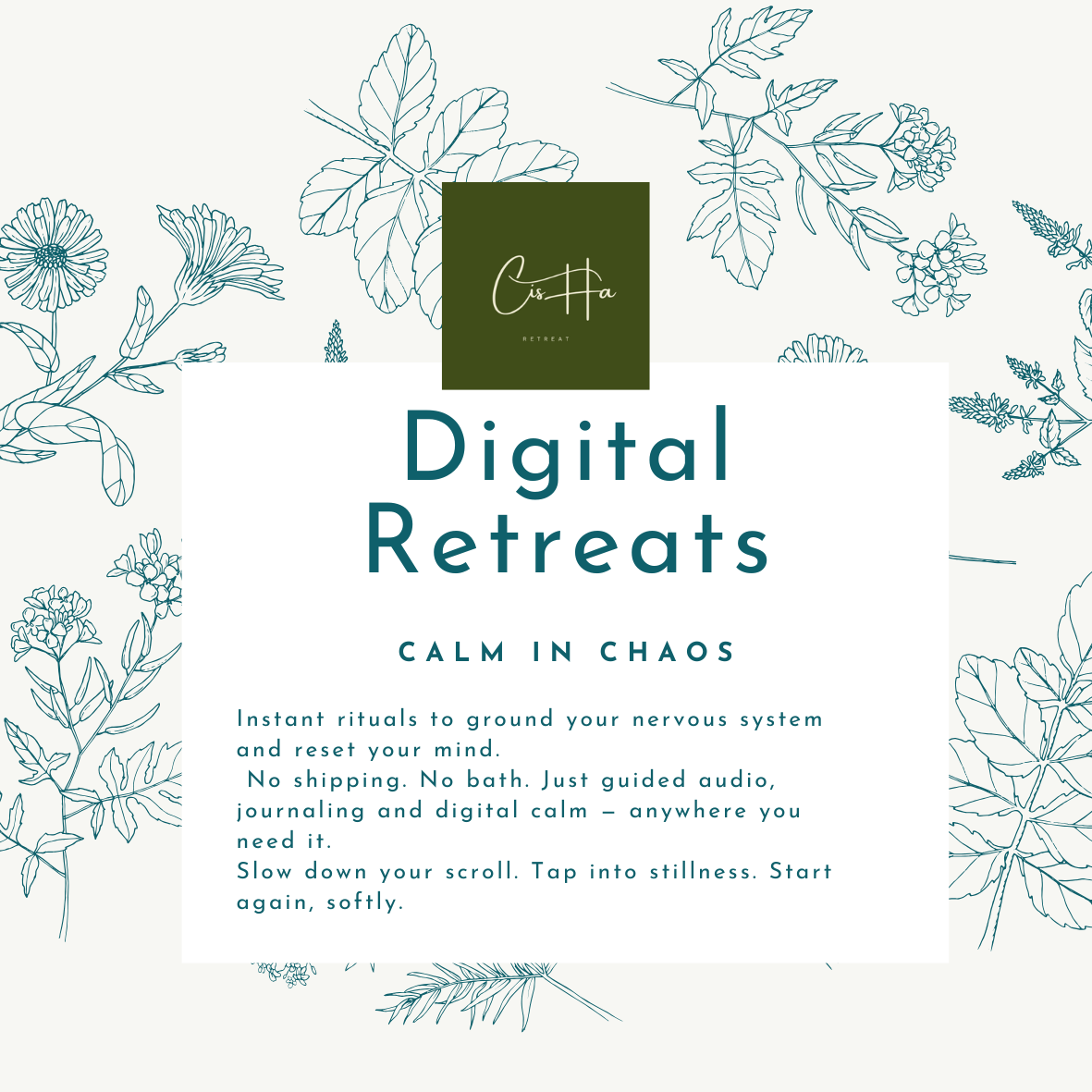 Digital Retreats – Calm in Chaos