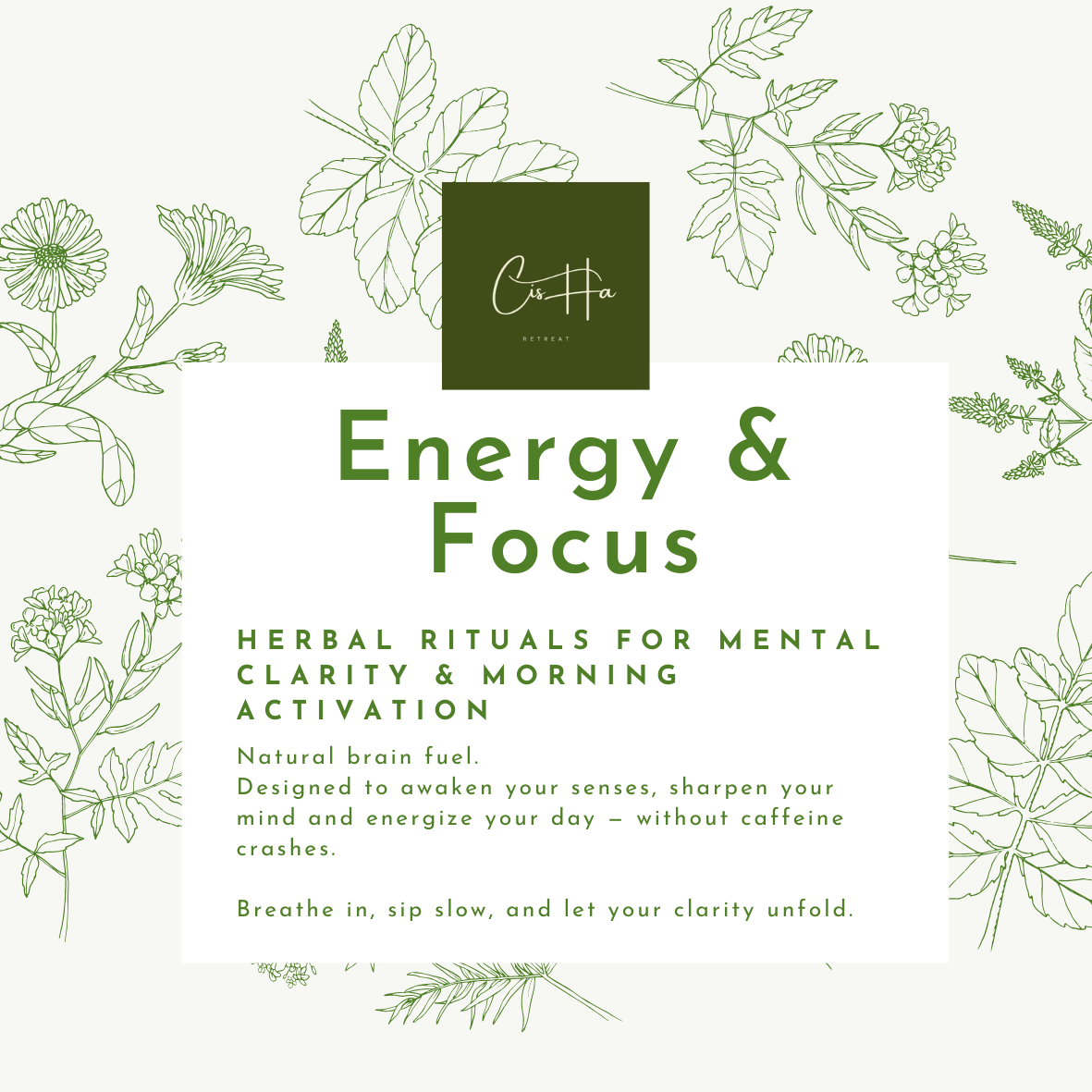 Energy & Focus – Herbal Rituals for Mental Clarity & Morning Activation